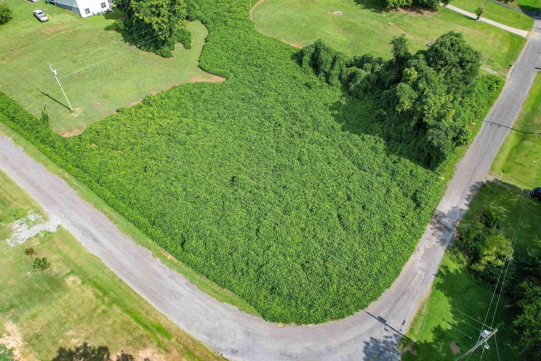 0.6 Acres of Residential Land for Sale in Vinemont, Alabama