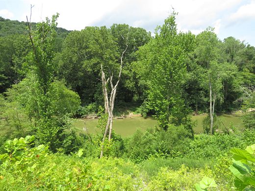 83.4 Acres of Agricultural Land for Sale in East Bernstadt, Kentucky
