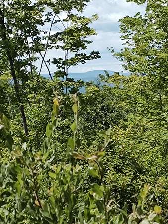 112 Acres of Land for Sale in Hartland, Maine