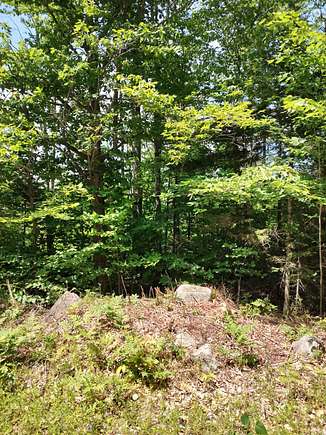 97 Acres of Land for Sale in Hartland, Maine