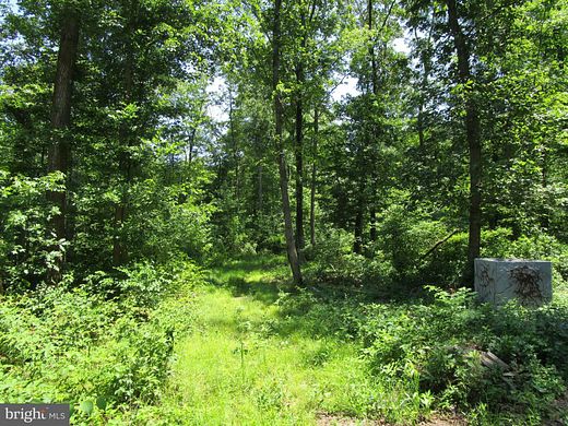 123 Acres of Recreational Land for Sale in Felton, Delaware