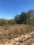 1 Acre of Land for Sale in Penitas, Texas