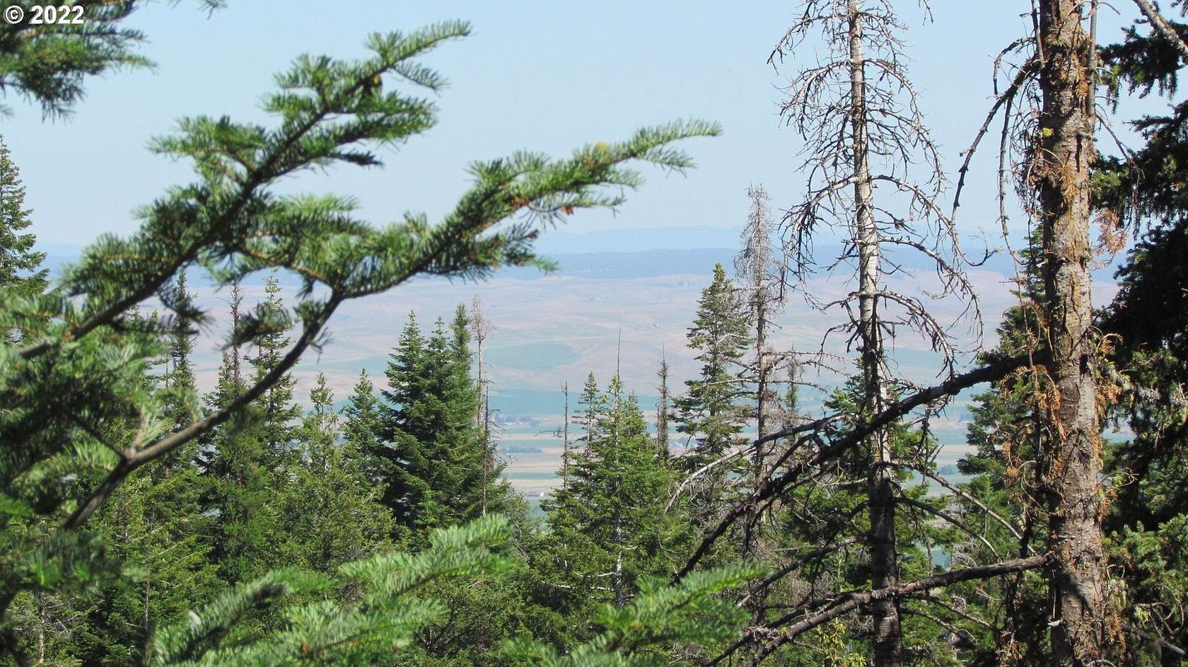 40 Acres of Recreational Land for Sale in Joseph, Oregon