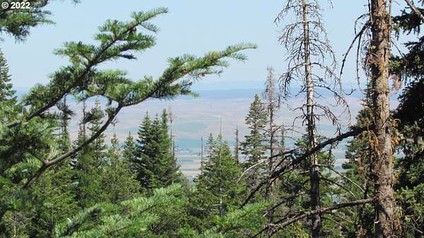 40 Acres of Recreational Land for Sale in Joseph, Oregon