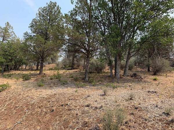 1.12 Acres of Land for Sale in Hornbrook, California