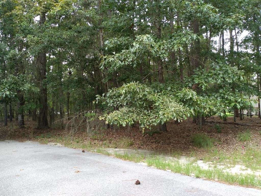 1 Acre of Residential Land for Sale in Elloree, South Carolina