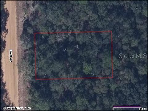 0.22 Acres of Residential Land for Sale in Palatka, Florida