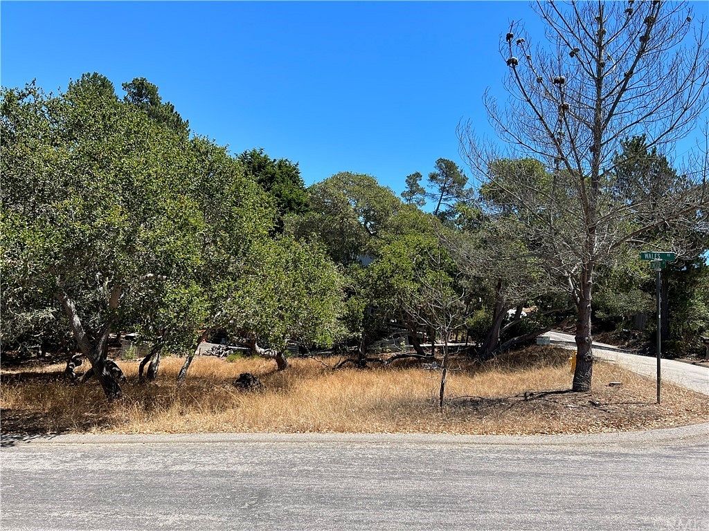 0.091 Acres of Land for Sale in Cambria, California
