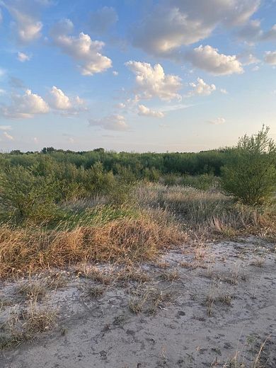 0.43 Acres of Residential Land for Sale in Eagle Pass, Texas