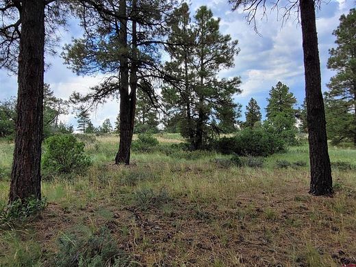 0.31 Acres of Residential Land for Sale in Pagosa Springs, Colorado