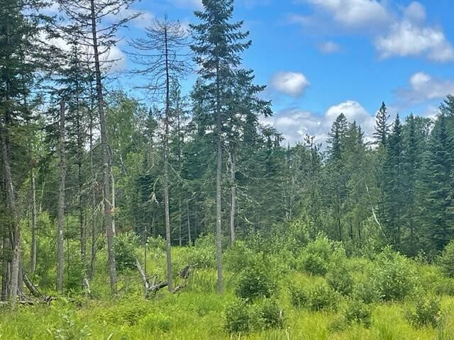 70 Acres of Land for Sale in Cornville, Maine