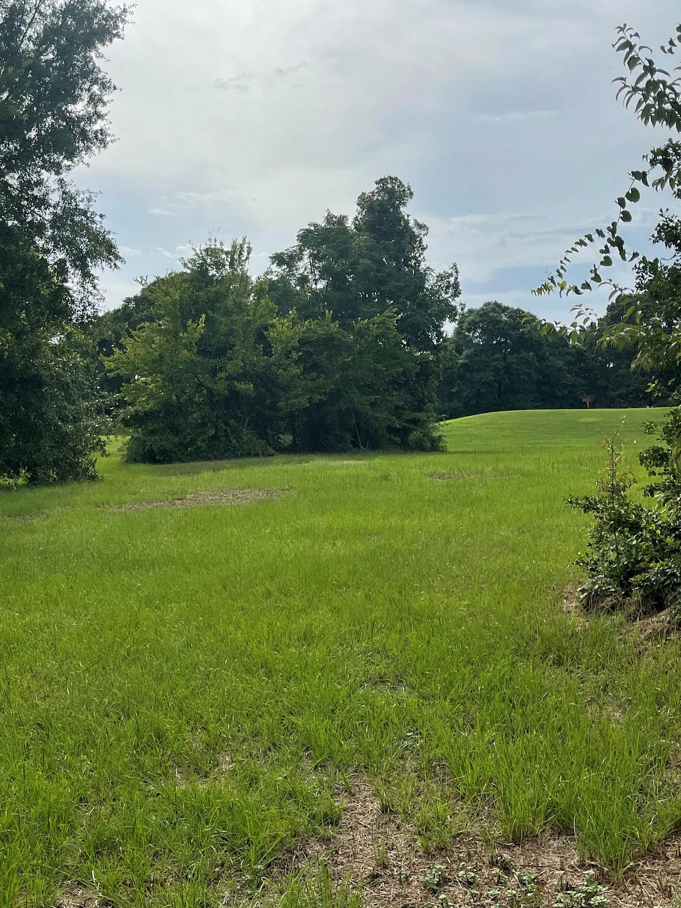 0.5 Acres of Residential Land for Sale in Eufaula, Alabama