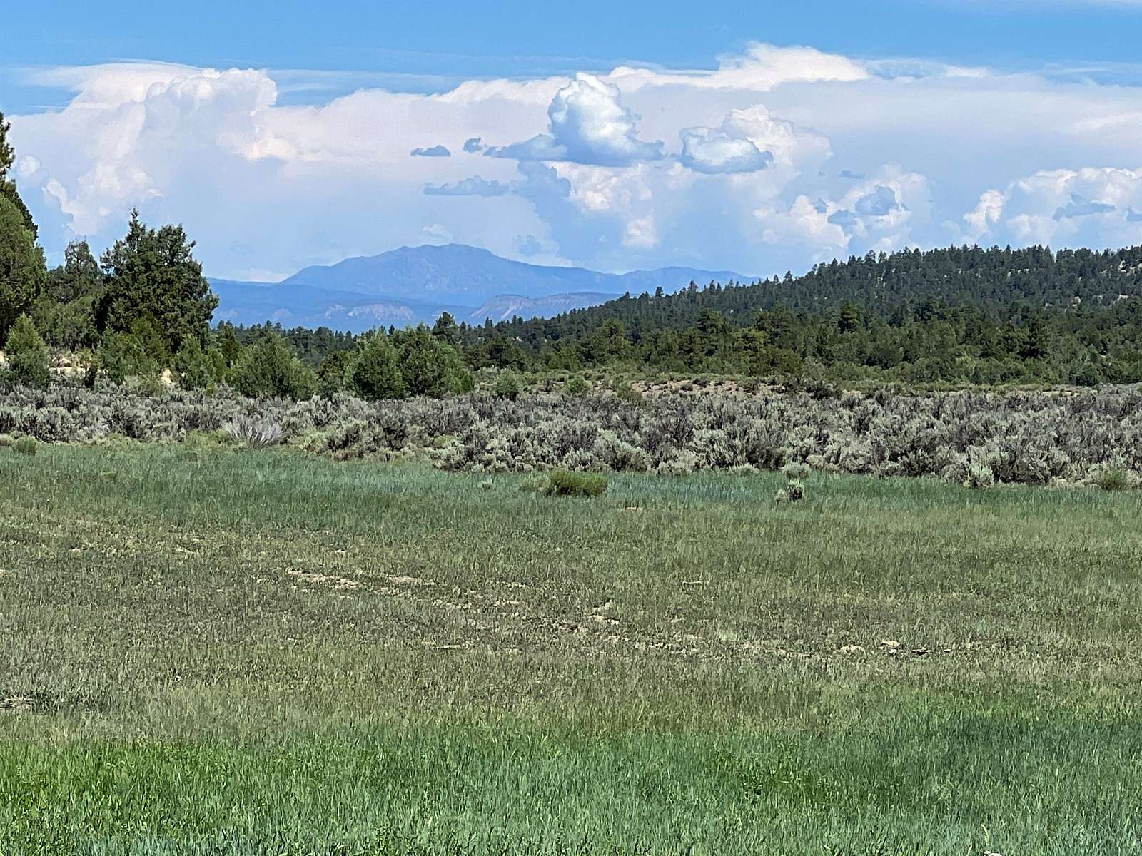 2,056 Acres of Recreational Land & Farm for Sale in Tierra Amarilla, New Mexico