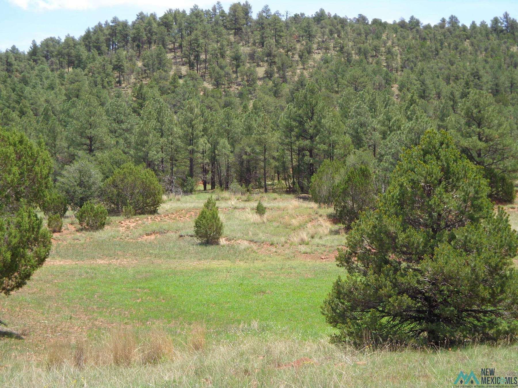 1,064 Acres of Recreational Land & Farm for Sale in Las Vegas, New Mexico