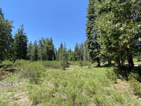 2.84 Acres of Land for Sale in McCloud, California