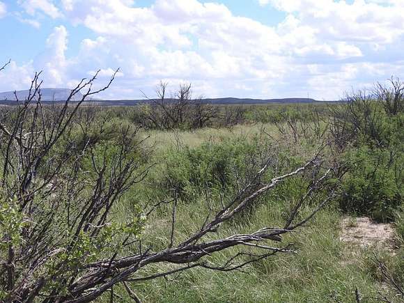 81 Acres of Recreational Land for Sale in Alpine, Texas