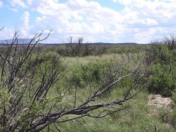 81.1 Acres of Recreational Land for Sale in Alpine, Texas