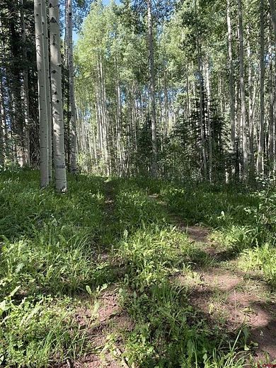 3 Acres of Residential Land for Sale in Rico, Colorado