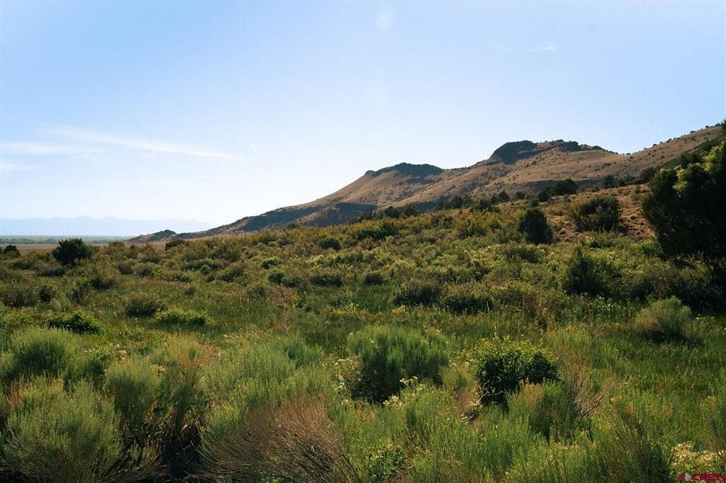 35.1 Acres of Recreational Land for Sale in Del Norte, Colorado