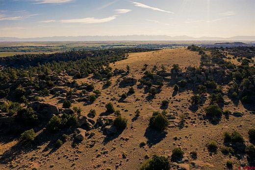 38.3 Acres of Recreational Land for Sale in Del Norte, Colorado