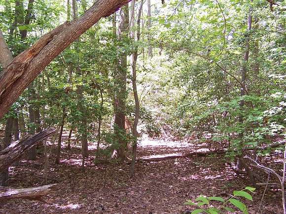 3.6 Acres of Residential Land for Sale in Heathsville, Virginia