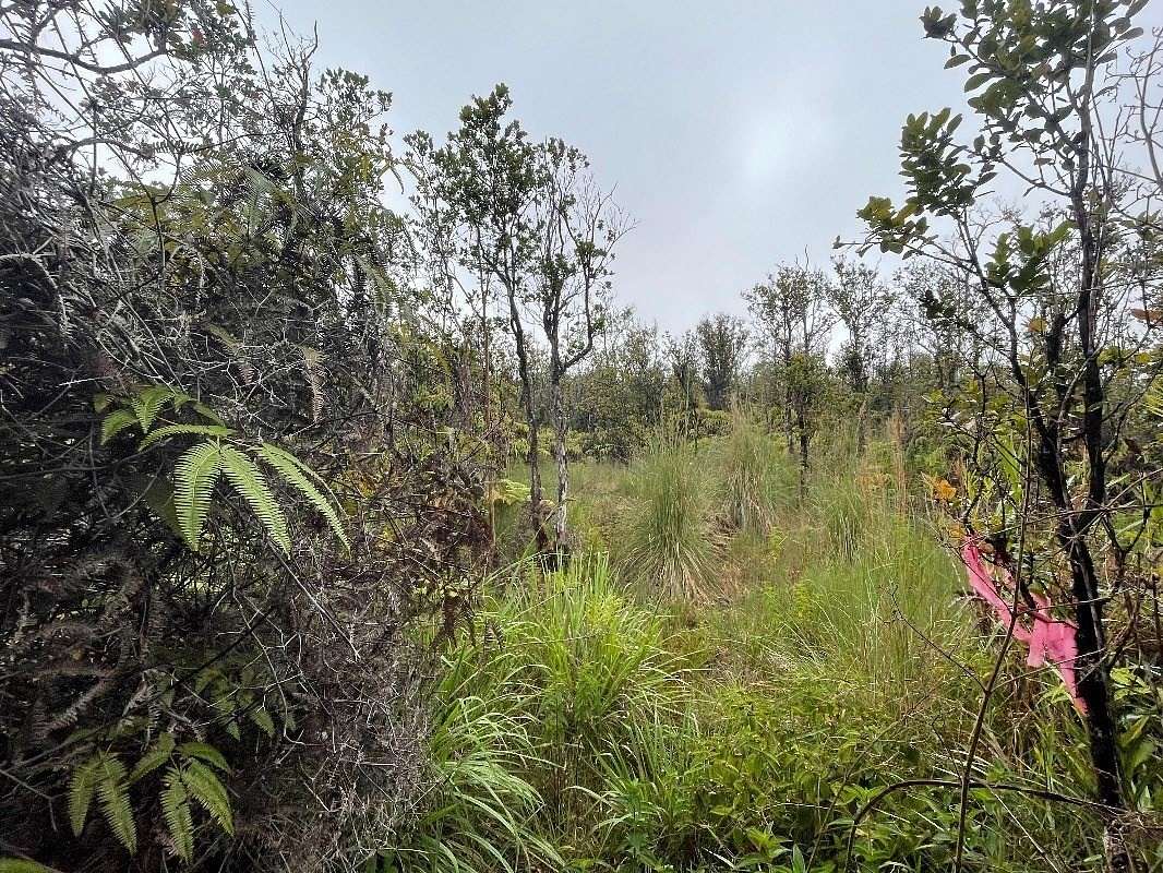 3 Acres of Residential Land for Sale in Volcano, Hawaii