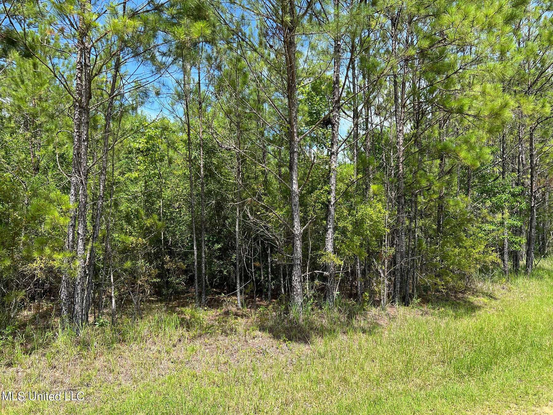 2.3 Acres of Land for Sale in Vancleave, Mississippi