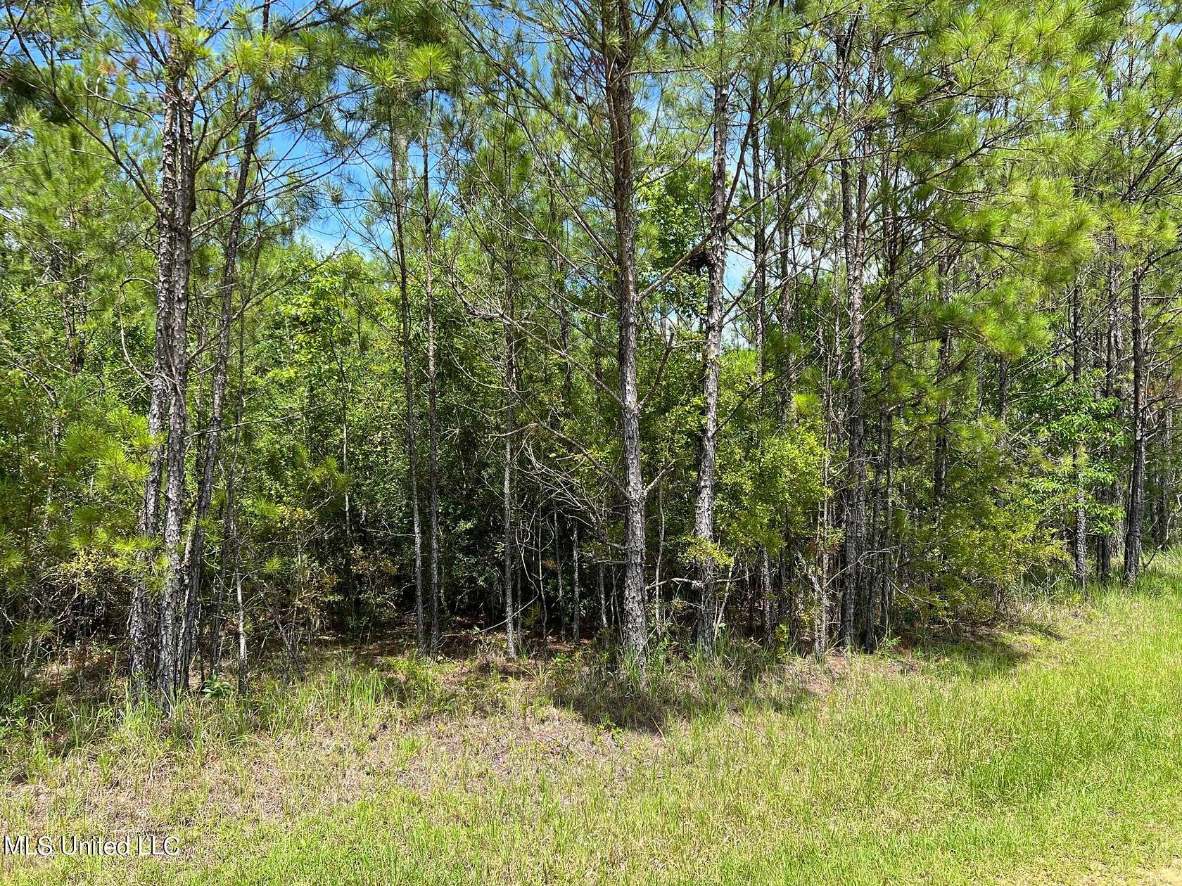 2.14 Acres of Residential Land for Sale in Vancleave, Mississippi