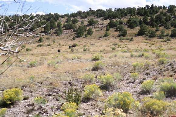 52.08 Acres of Recreational Land for Sale in Del Norte, Colorado