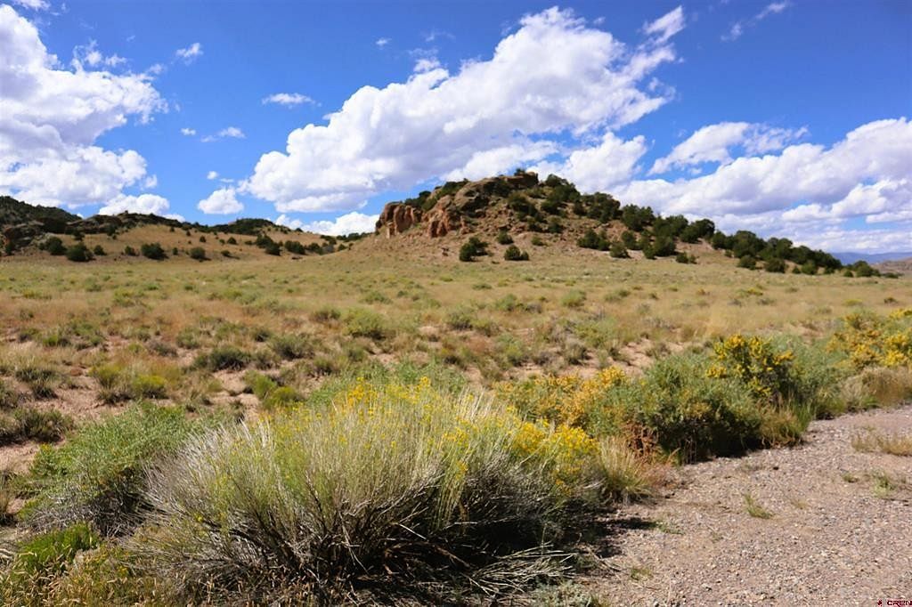 55.7 Acres of Recreational Land for Sale in Del Norte, Colorado