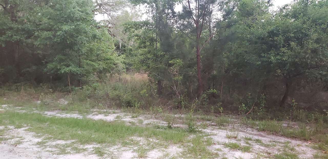 16.3 Acres of Land for Sale in Crawfordville, Florida