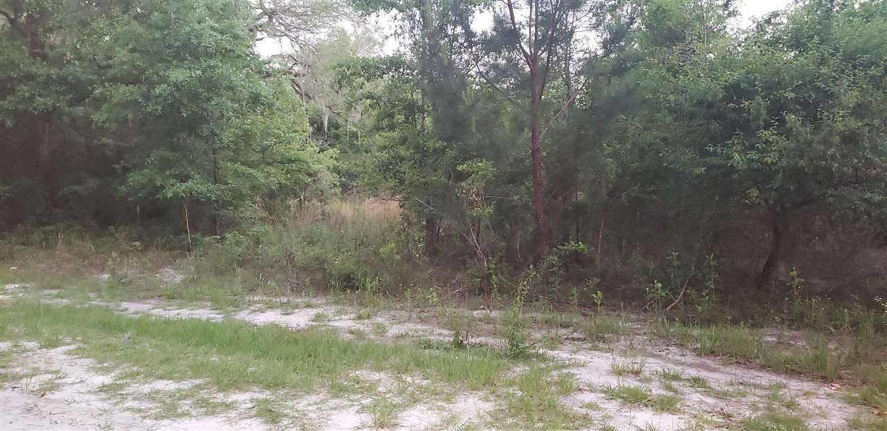 10 Acres of Land for Sale in Crawfordville, Florida