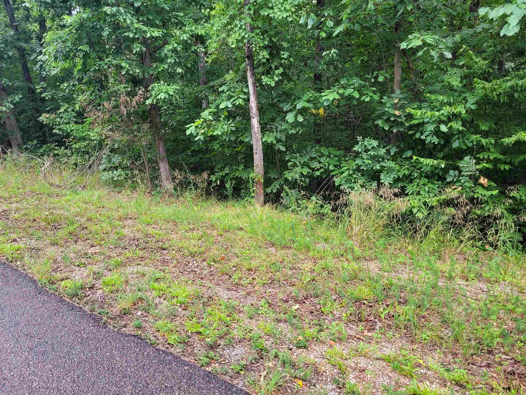 0.5 Acres of Residential Land for Sale in Counce, Tennessee