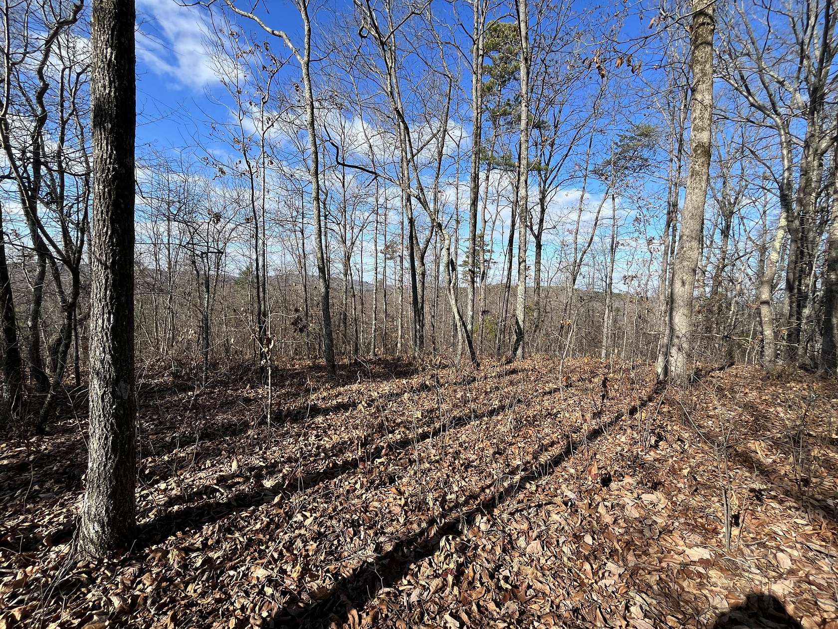 37 Acres of Land for Sale in Rocky Face, Georgia