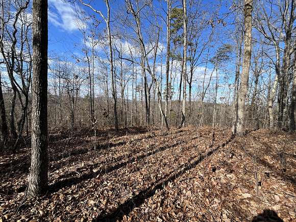 37 Acres of Land for Sale in Rocky Face, Georgia