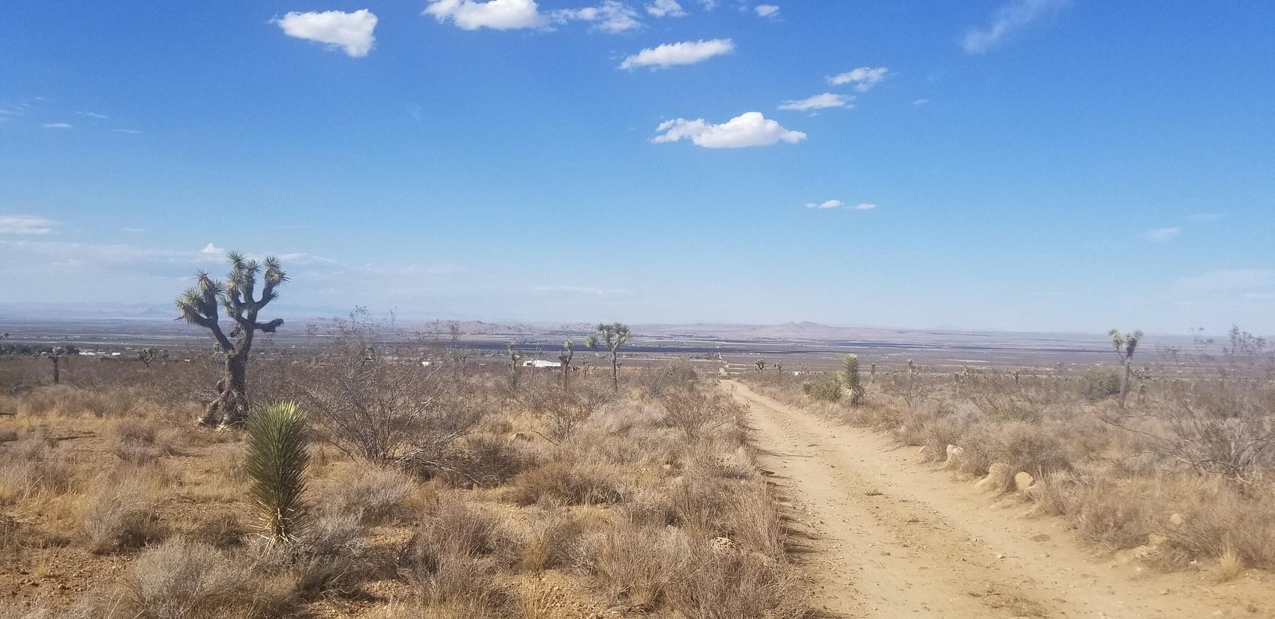 2.512 Acres of Land for Sale in Llano, California