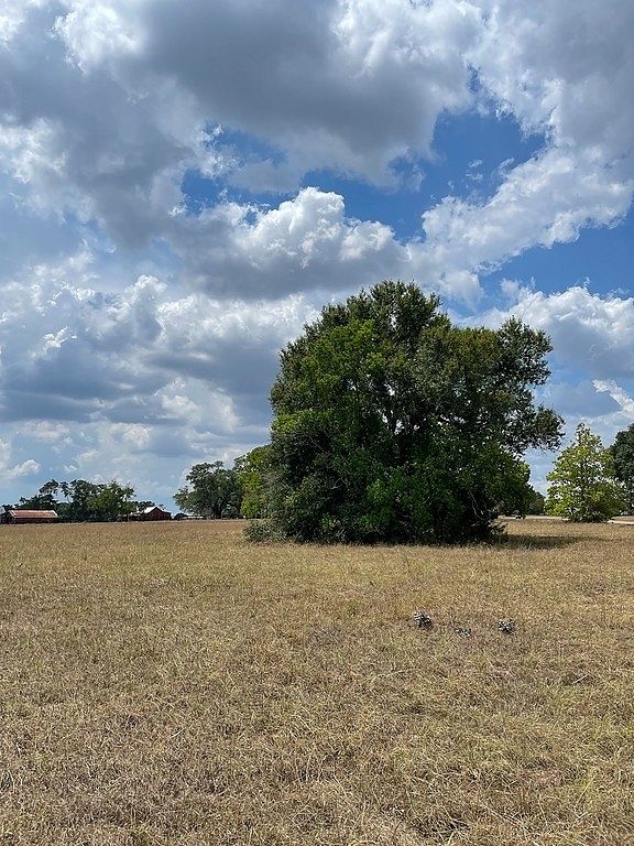 1.8 Acres of Residential Land for Sale in Cat Spring, Texas