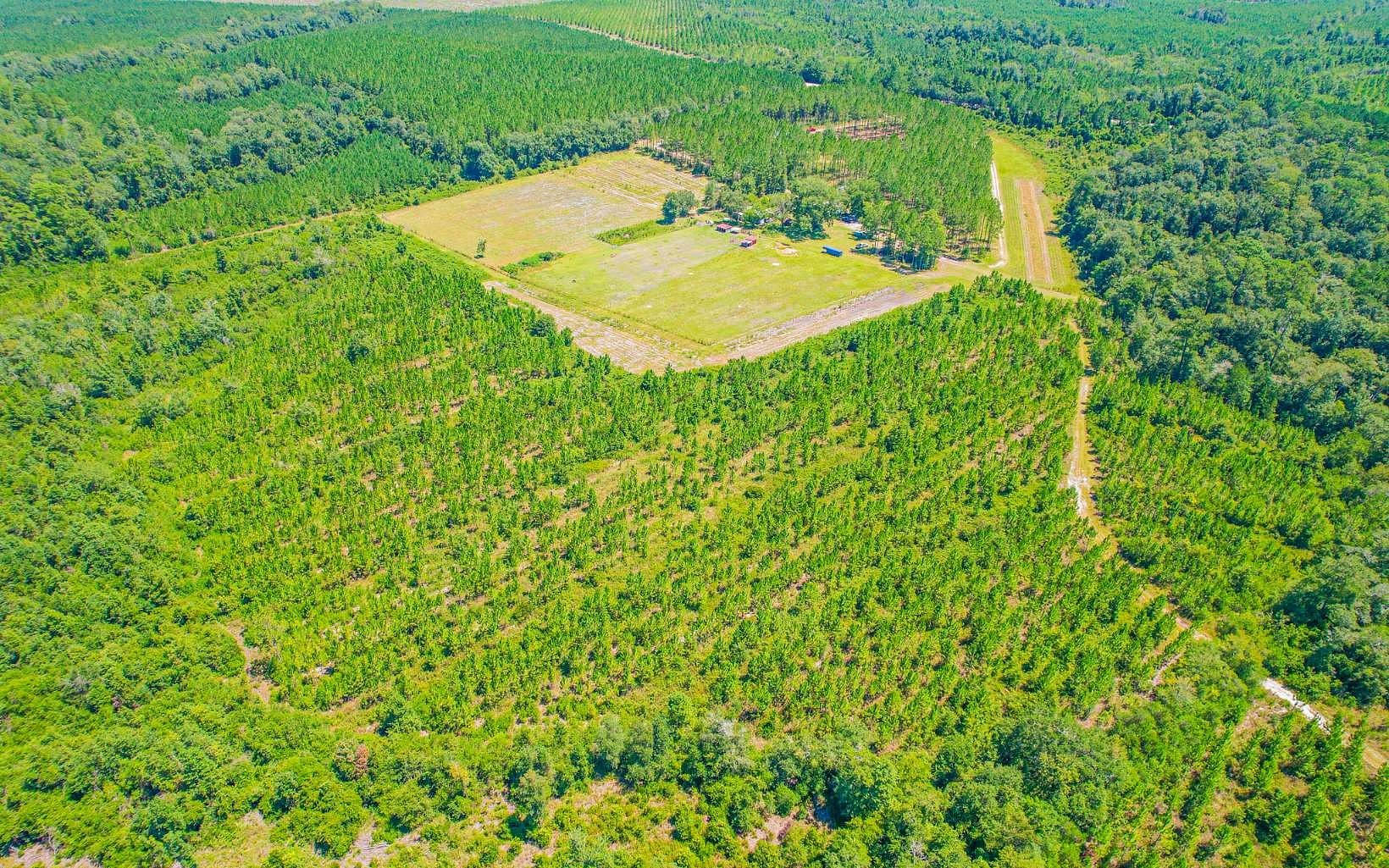 144 Acres of Land with Home for Sale in Screven, LandSearch