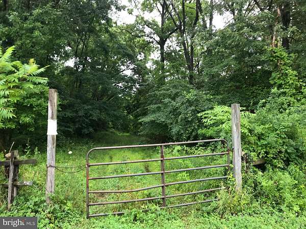 79.1 Acres of Land for Sale in Stevensville, Maryland