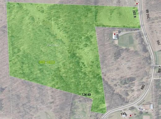 18.3 Acres of Land for Sale in Bridgewater, New York