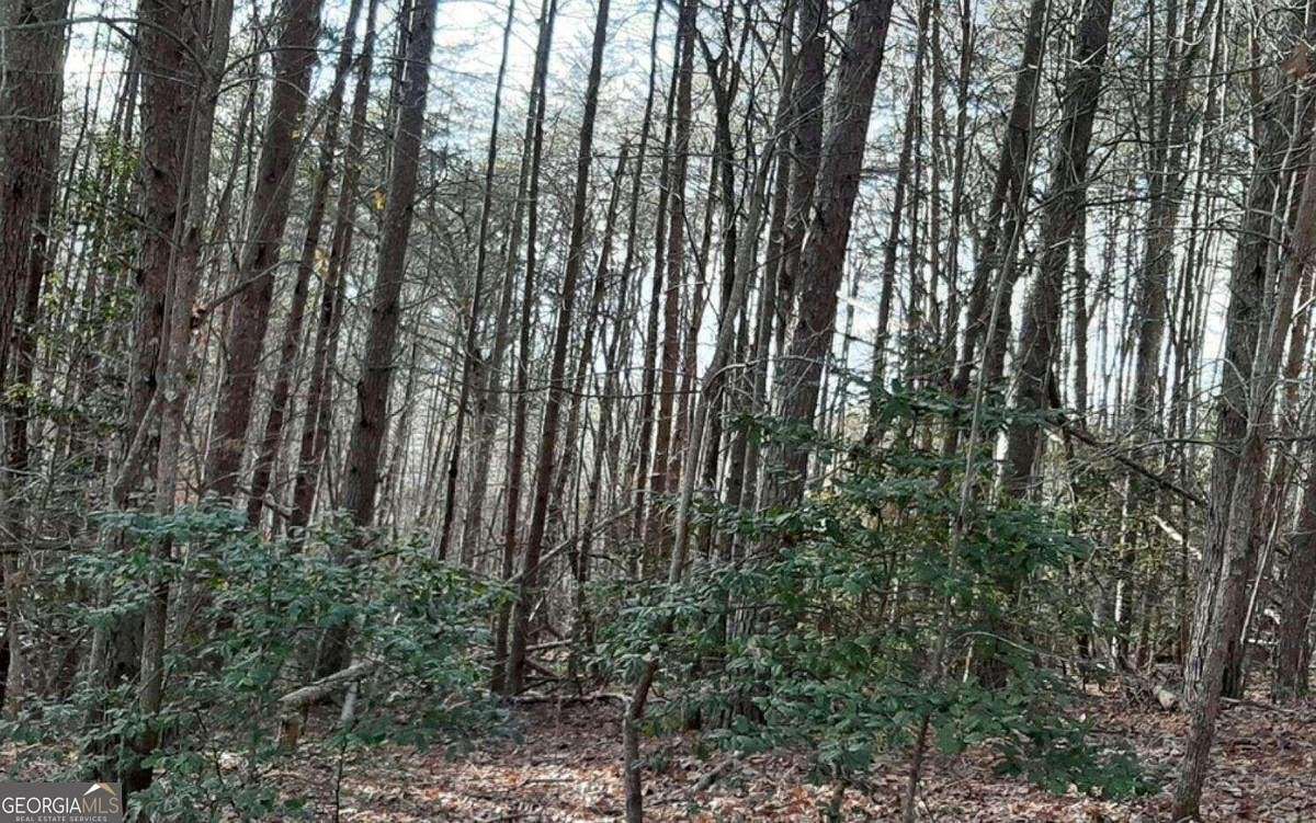 2 Acres of Residential Land for Sale in Blairsville, Georgia
