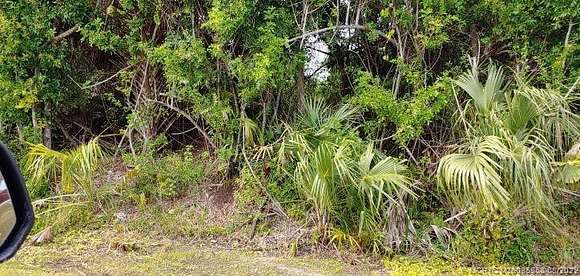 0.45 Acres of Residential Land for Sale in Indian River Estates, Florida