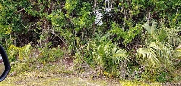 0.45 Acres of Land for Sale in Indian River Estates, Florida