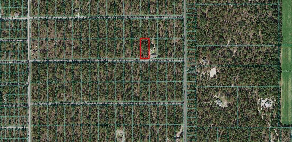 1 Acre of Residential Land for Sale in Dunnellon, Florida