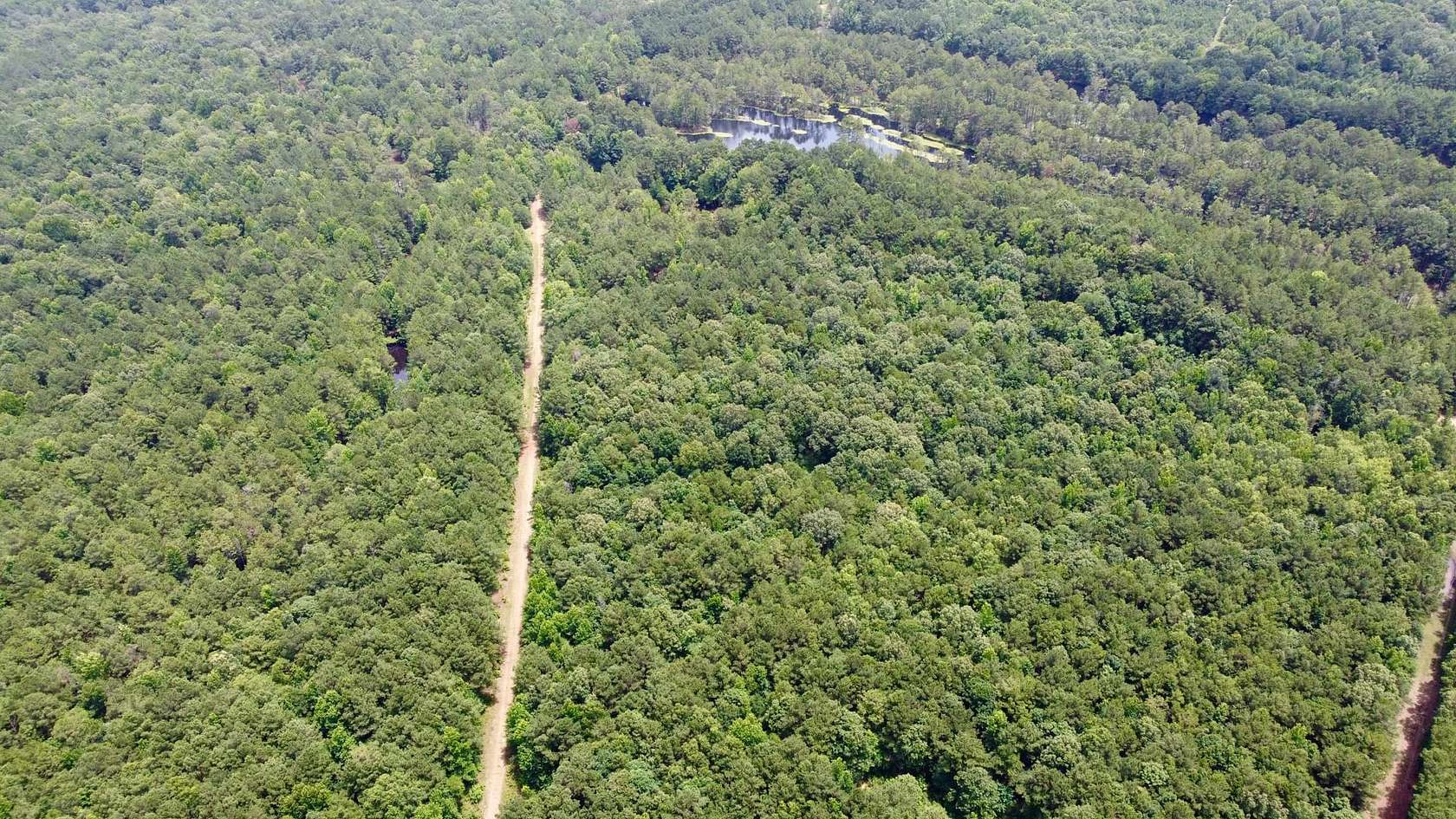 468 Acres of Recreational Land & Farm for Sale in Texarkana, Texas