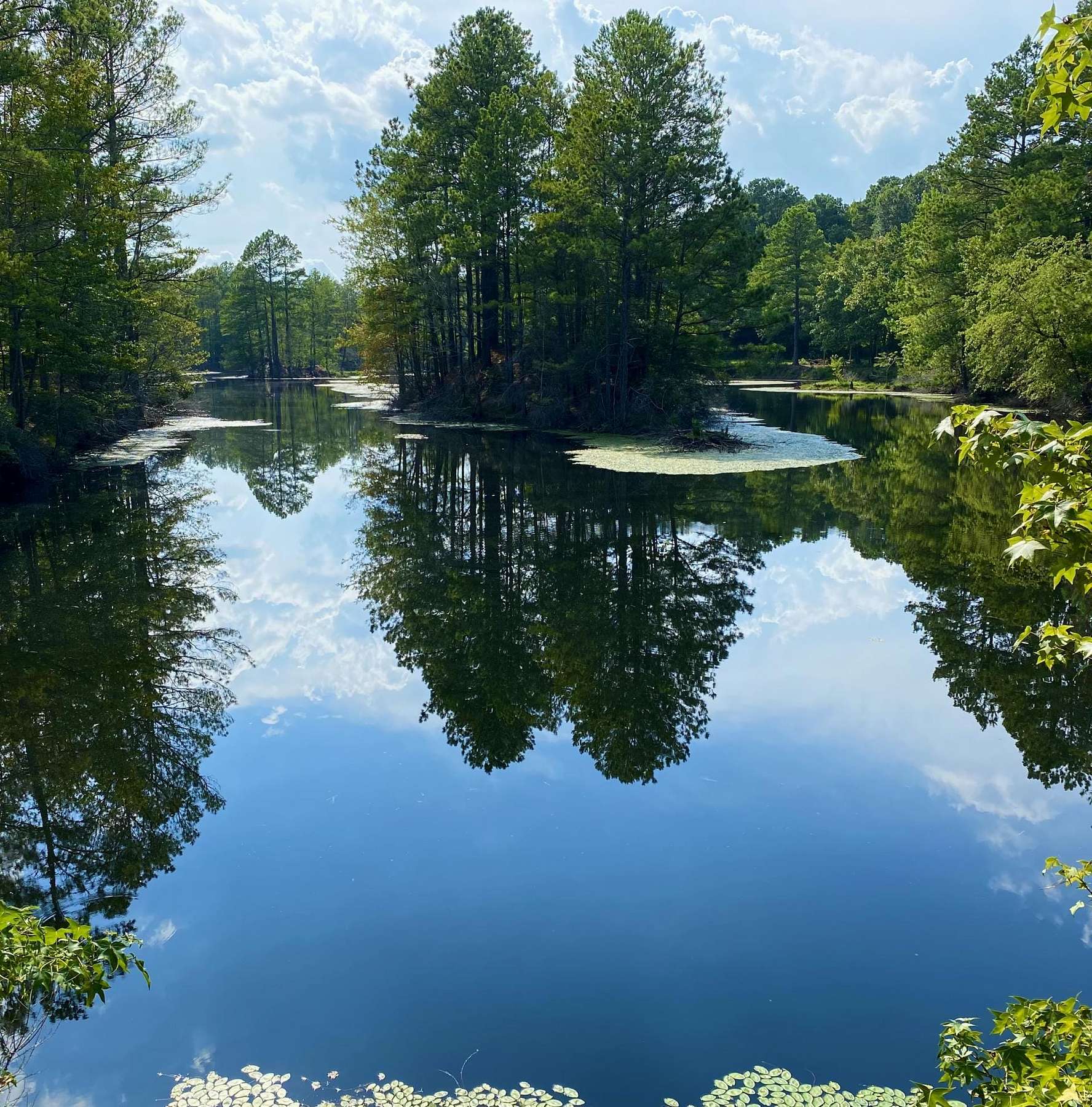 Land For Sale In Texarkana Arkansas - 7su5u63