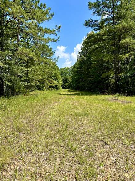 Land For Sale In Texarkana Area