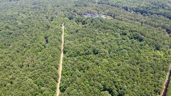 468 Acres of Recreational Land & Farm for Sale in Texarkana, Texas