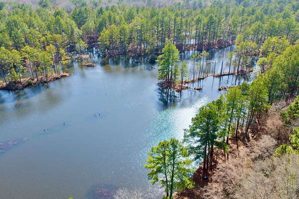 468 Acres of Land for Sale in Texarkana, Texas