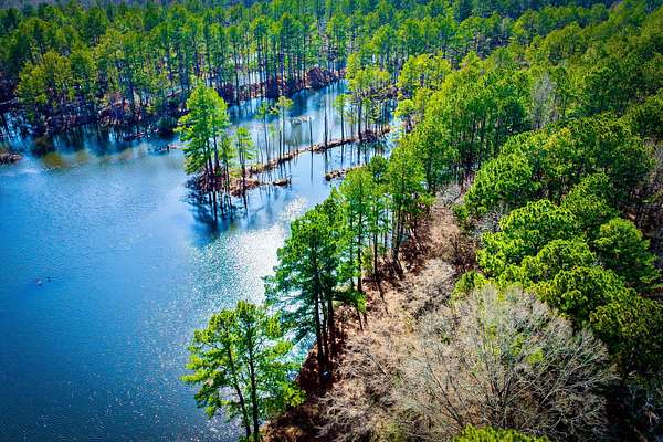 468 Acres of Land for Sale in Texarkana, Texas